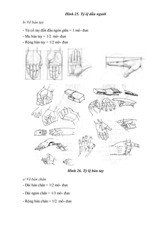 Hình 25. Tỷ lệ đầu người
b/ Vẽ bàn tay
- Từ cổ tay đến đầu ngón giữa = 1 mô- đun
- Mu bàn tay = 1/2 mô- đun
- Rộng bàn tay = 1/2 mô- đun
Hình 26. Tỷ lệ bàn tay
c/ Vẽ bàn chân
- Dài bàn chân = 1/2 mô- đun
- Dài ngón chân = 1/3 mô- đun
- Rộng bàn chân = 1/2 mô- đun
 
