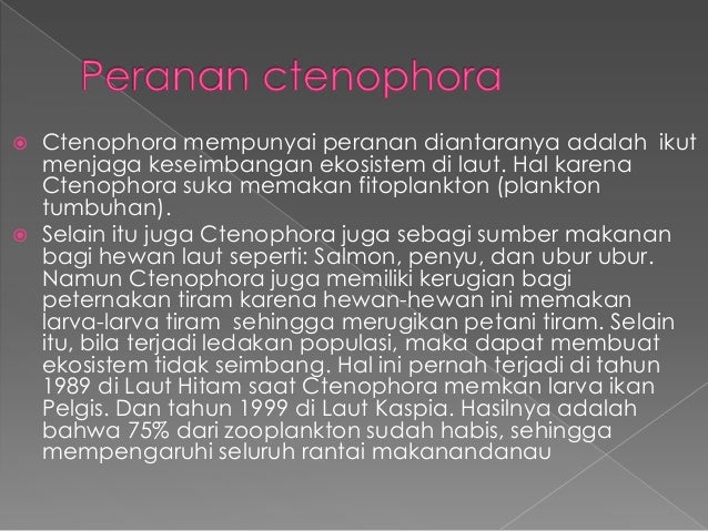 Dunia Hewan Animalia 32663224