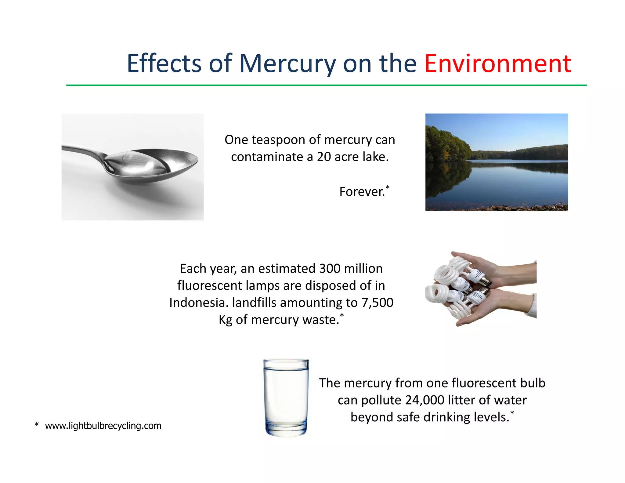 One teaspoon of mercury can
contaminate a 20 acre lake.
.
Effects of Mercury on the Environment
Forever.*
* www.lightbulbrecycling.com
Each year, an estimated 300 million
fluorescent lamps are disposed of in
Indonesia. landfills amounting to 7,500
Kg of mercury waste.*
The mercury from one fluorescent bulb
can pollute 24,000 litter of water
beyond safe drinking levels.*
 