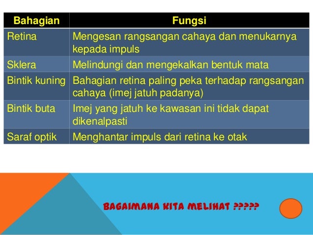Dunia Melalui Deria Kita