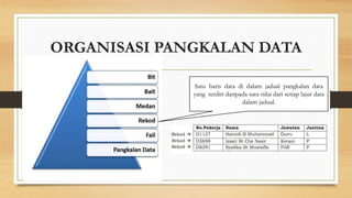 ORGANISASI PANGKALAN DATA 
Satu baris data di dalam jadual pangkalan data 
yang terdiri daripada satu nilai dari setiap lajur data 
dalam jadual. 
 