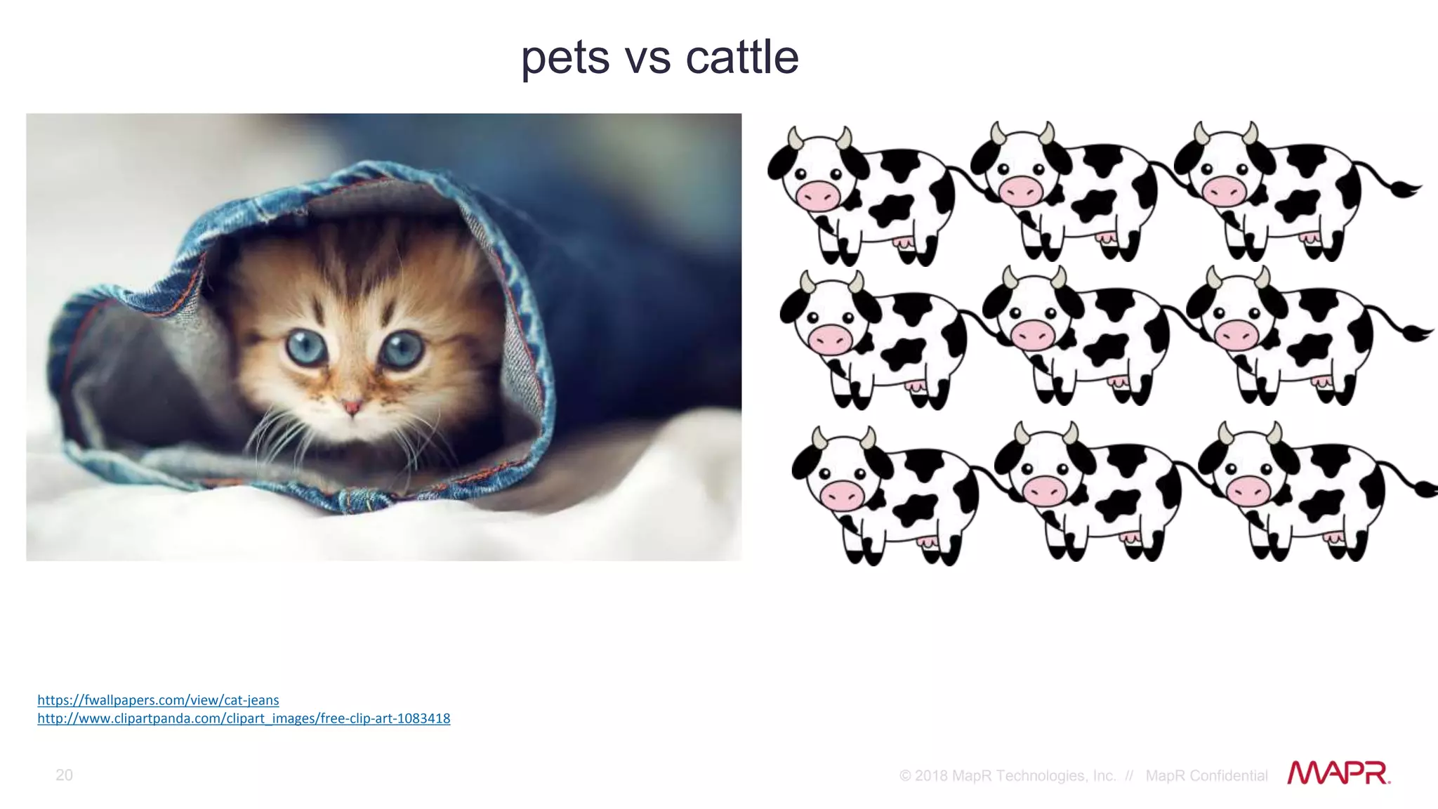 20 © 2018 MapR Technologies, Inc. // MapR Confidential
pets vs cattle
https://fwallpapers.com/view/cat-jeans
http://www.clipartpanda.com/clipart_images/free-clip-art-1083418
 