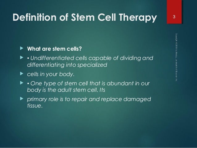 define stem define stem