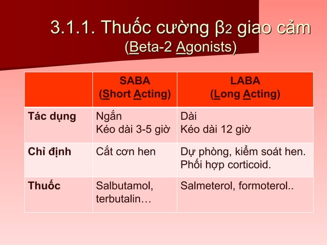 [Duoc ly] thuoc chua thieu mau thuoc dieu tri rlhh - th s duong | PPT