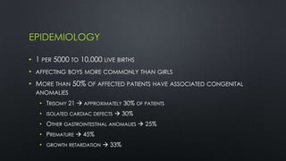 EPIDEMIOLOGY
• 1 PER 5000 TO 10,000 LIVE BIRTHS
• AFFECTING BOYS MORE COMMONLY THAN GIRLS
• MORE THAN 50% OF AFFECTED PATIENTS HAVE ASSOCIATED CONGENITAL
ANOMALIES
• TRISOMY 21  APPROXIMATELY 30% OF PATIENTS
• ISOLATED CARDIAC DEFECTS  30%
• OTHER GASTROINTESTINAL ANOMALIES  25%
• PREMATURE  45%
• GROWTH RETARDATION  33%
 