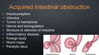 Acquired intestinal obstruction
• Intussusception
• Volvulus
• Tumor or hematoma
• Hernia and strangulation
• Stricture or stenosis of intestine
• Inflammatory disease
• Foreign body
• Worm mass
• Paralytic ileus
 