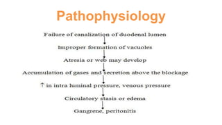 Pathophysiology
 