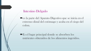 Intestino Delgado
es la parte del Aparato Digestivo que se inicia en el
extremo distal del estómago y acaba en el ciego del
colon.
Es el lugar principal donde se absorben los
nutrientes obtenidos de los alimentos ingeridos.
 