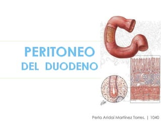 Perla Aridaí Martínez Torres. | 1040
 