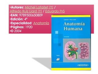 Duodeno ANATOMIA.