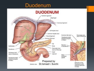 Duodenum
Prepared by
Dr.Ismael I. Surchi
 