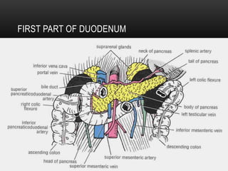 DUODENUM.pptx