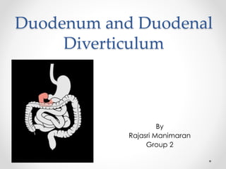 Duodenum and Duodenal
Diverticulum
By
Rajasri Manimaran
Group 2
 