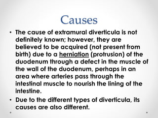 Causes
• The cause of extramural diverticula is not
definitely known; however, they are
believed to be acquired (not present from
birth) due to a herniation (protrusion) of the
duodenum through a defect in the muscle of
the wall of the duodenum, perhaps in an
area where arteries pass through the
intestinal muscle to nourish the lining of the
intestine.
• Due to the different types of diverticula, its
causes are also different.
 