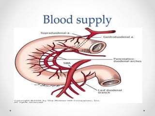 Blood supply
 