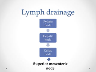 Lymph drainage
Pyloric
node
Hepatic
node
Celiac
node
Superior mesenteric
node
 