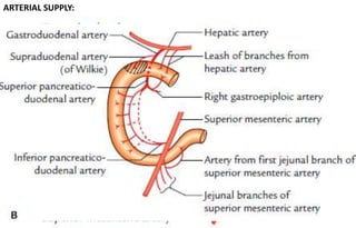 ARTERIAL SUPPLY:
 