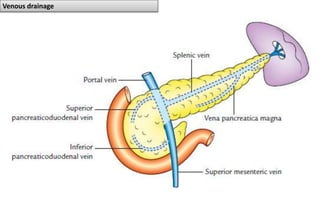 Venous drainage
 