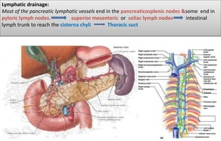 Lymphatic drainage:
Most of the pancreatic lymphatic vessels end in the pancreaticosplenic nodes &some end in
pyloric lymph nodes. superior mesenteric or celiac lymph nodes intestinal
lymph trunk to reach the cisterna chyli Thoracic suct
 