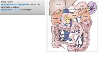 Nerve supply:
Parasympathetic : Vagus nerve-controls the
pancreatic secretion.
Sympathetic : T6-T10- vasomotor
 