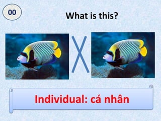 What is this?050403020100
Individual: cá nhân
 