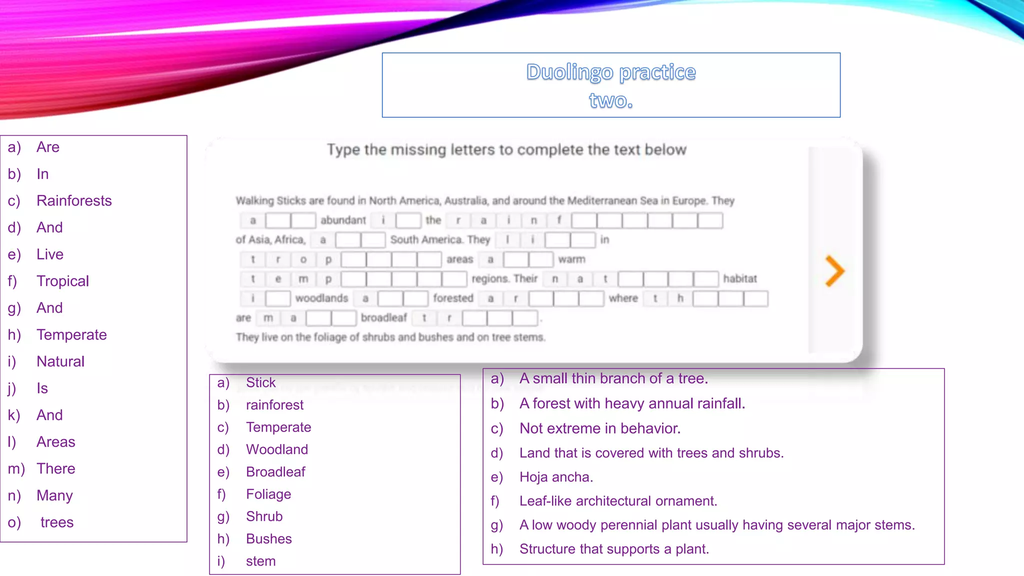 duolingo-practice-pptx
