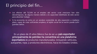 El principio del fin…
 Los efectos del TLCAN en el empleo del sector rural mexicano han sido
desventajosos, de alguna man...