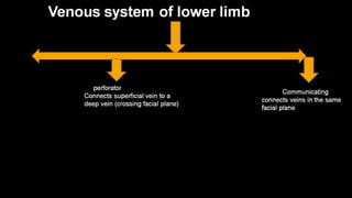 Duplex peripheral veins
