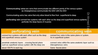 Duplex peripheral veins