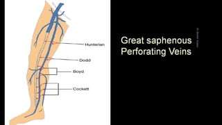 Duplex peripheral veins