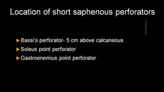 Duplex peripheral veins