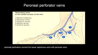 Duplex peripheral veins