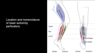 Duplex peripheral veins