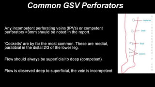 Duplex peripheral veins
