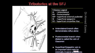 Duplex peripheral veins