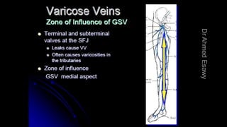 Duplex peripheral veins