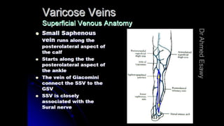 Duplex peripheral veins