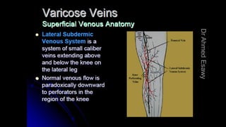 Duplex peripheral veins