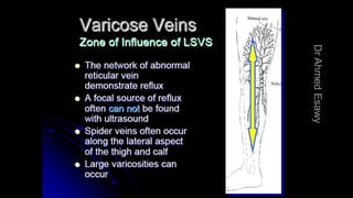 Duplex peripheral veins