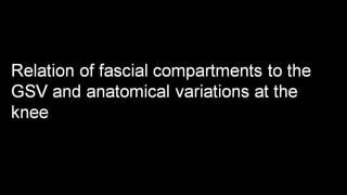 Duplex peripheral veins