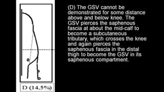 Duplex peripheral veins