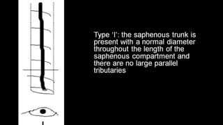 Duplex peripheral veins