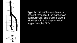 Duplex peripheral veins