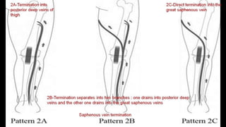 Duplex peripheral veins