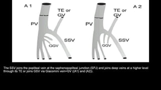 Duplex peripheral veins