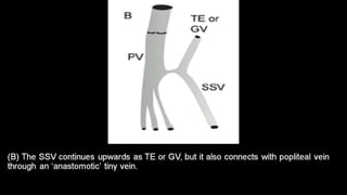 Duplex peripheral veins