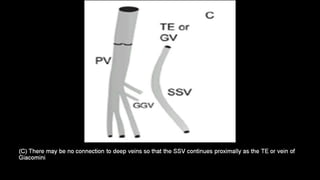 Duplex peripheral veins