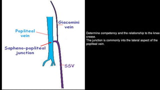 Duplex peripheral veins