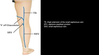 Duplex peripheral veins