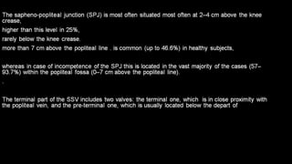 Duplex peripheral veins